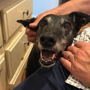 Meet your Posher, Sydney